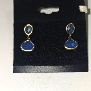 Elegant Gold and Blue Drop Earrings